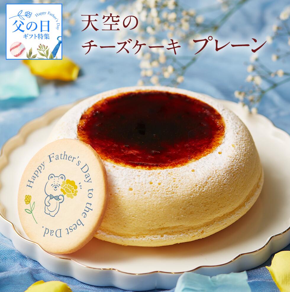 天空のチーズケーキスフレ送料無料ギ...
