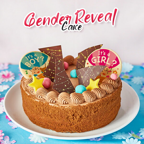 【 ご愛顧 感謝デー 最大35％OFF ハロウィン ギフト お菓子 スイーツ お彼岸 秋分 お月見 十五夜 】 ジェンダー リビール 2023 ギフト ケーキ ショコラ 6号 6〜8名 性別 お披露目 ギフト ケーキ 洋菓子 お菓子 内祝い 通販 人気のサムネイル