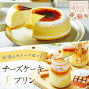 【500円OFFクーポン有 】 【ハロウィン】天空のチーズケーキ&天空のプリン セット