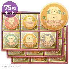 https://thumbnail.image.rakuten.co.jp/@0_mall/sweets-focetta/cabinet/ms_cookie/04975393/cc-set205.jpg