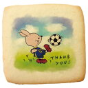 クッキー イラスト プリント メッセージ スポーツ サッカー プチ ギフト 洋菓子 お菓子 内祝い 通販 人気 贈り物 おすすめ 有名