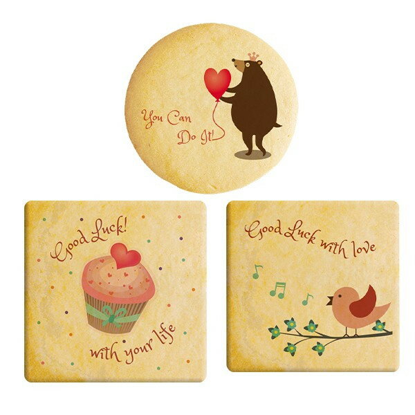 陣中見舞い 頑張る人たちを応援する差し入れにメッセージクッキーをどうぞ 取り分けしやすい個包装 15枚セット ギフトボックス入り