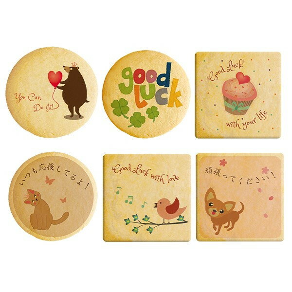 陣中見舞い 頑張る人たちを応援する差し入れにメッセージクッキーをどうぞ 取り分けしやすい個包装 30枚セット ギフトボックス入り