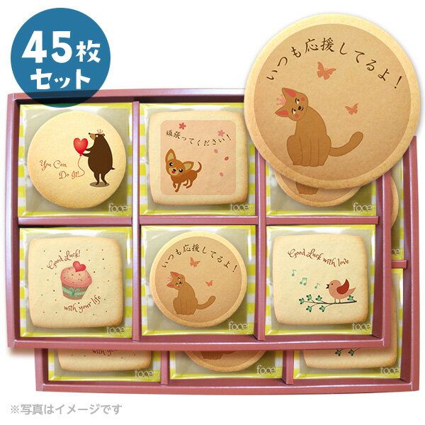 陣中見舞い 頑張る人たちを応援する差し入れにメッセージクッキーをどうぞ 取り分けしやすい個包装 お得な45枚セット ギフトボックス入り