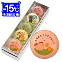 お礼 感謝 退職をする先輩や上司へ 今までの感謝をストレートに伝えるメッセージマカロン 5個セット ギフト