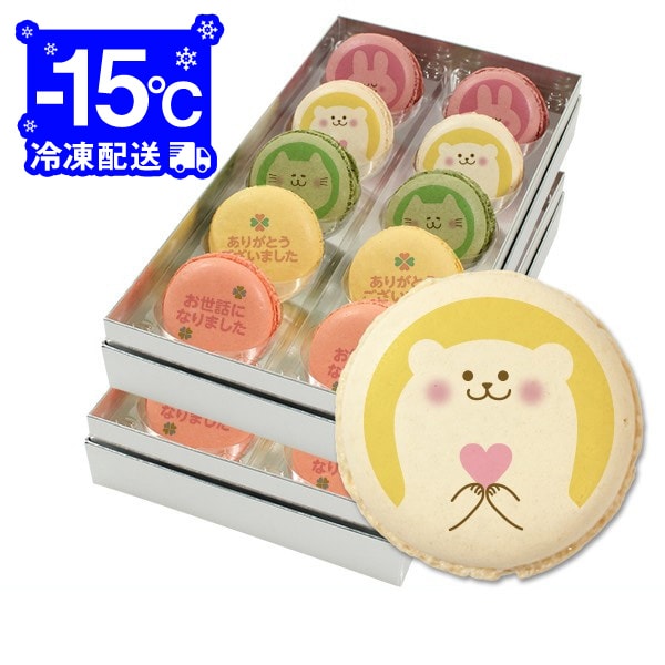 転校 お礼 お世話になった方に感謝の気持ちをストレートに伝えるカワイイ動物イラストのメッセージマカロン 20枚セット ギフトボックスのサムネイル