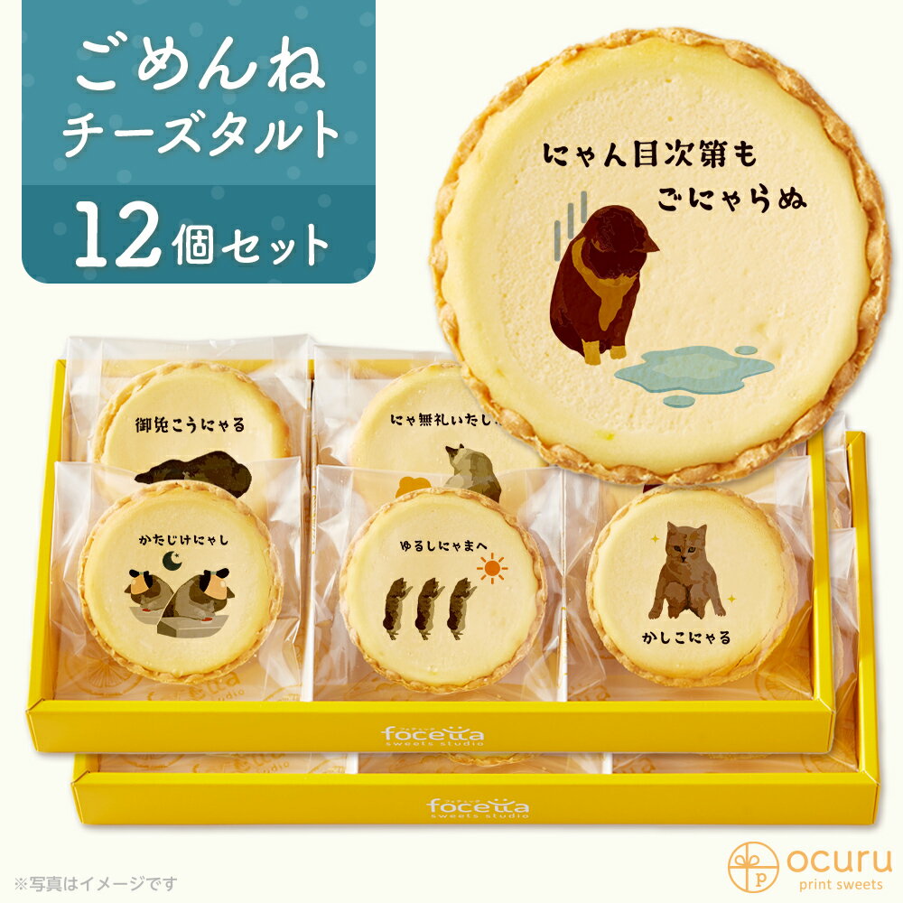 お詫び メッセージ チーズタルト チーズケーキ タルト フロマージュ 12個(6個入×2箱) イラスト プリント スイーツ ごめんね 謝罪を伝える チーズ プチのサムネイル