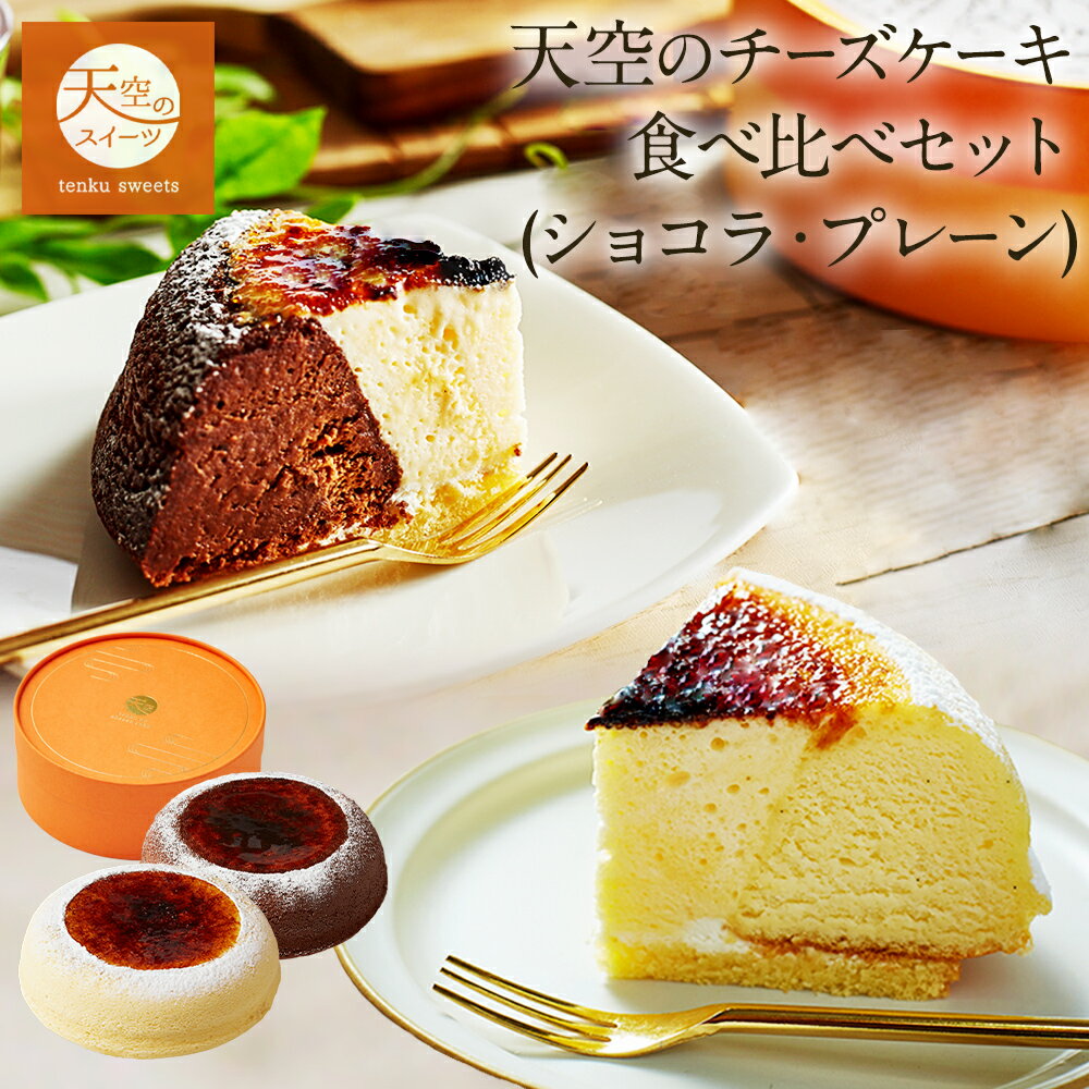 クリームチーズケーキ 【 父の日 ギフト 】 天空のチーズケーキ プレーン・ショコラ食べ比べセット スイーツ 2024 ギフト バースデー 誕生日 内祝い 記念日 お礼 ギフト プレゼント 贈り物