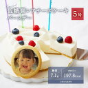 【500円OFFクーポン有 】 低糖質 レアチーズケーキ 5号 15cm スイーツ 2025 バースデー ギフト ダイエット 糖質制限 オリジナルクッキー 誕生...
