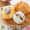 詰め合わせ 塩バター大福 6個 カス