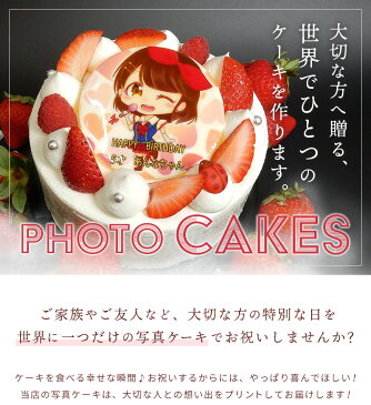 写真ケーキ 誕生日ケーキ キャラクター 【 8号 (12〜16人分) 】 子供 プリントケーキ ケーキ スイーツ ギフト バースデーケーキ イラスト 大人 ケーキ お祝い 内祝い 写真入り 誕生日 贈り物 お中元 デコレーションケーキ フォトケーキ