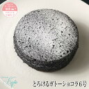 【 とろけるガトーショコラ 6号 】 チョコケーキ スイーツ ギフト お祝い 内祝い 手土産 お土産 誕生日 贈り物 贈答用 大人 子供 濃厚 チョコ その1