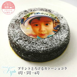 写真入りスイーツ・お菓子 写真ケーキ 誕生日ケーキ 子供4号・5号・6号とろけるガトーショコラ プリントケーキ ケーキ スイーツ チョコレート バースデーケーキ キャラクター ショコラ 大人 ケーキ お祝い 内祝い 写真入り 誕生日 贈り物 贈答用 生チョコ　濃厚チョコ　高級チョコ　ガトーショコラ