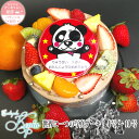 写真ケーキ スフレチーズケーキ デコレーション 5号バースデーケーキ 誕生日ケーキ 【送料無料】 フォトケーキ イラスト プリント 4～6名様用 サプライズ 冷凍