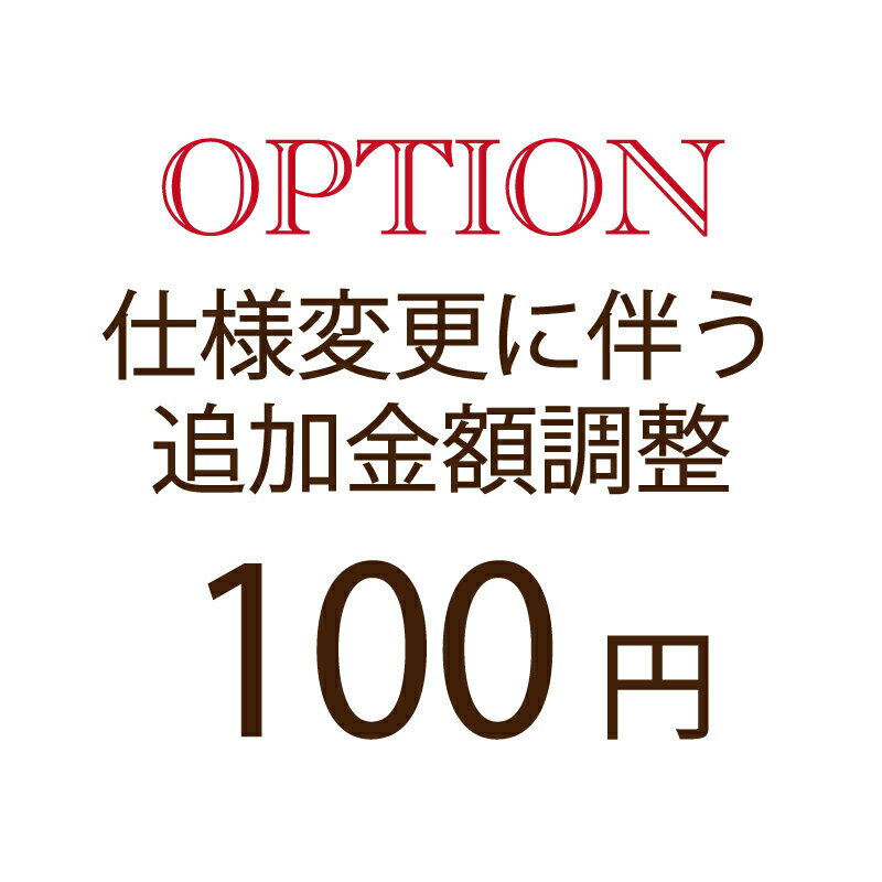 【オプション追加額支払い専用】100