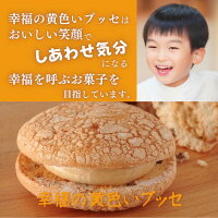 送料無料お菓子のさかいチョコブッセ幸福の黄色いブッセ(チョコ)10個入チョコレート洋菓子お菓子スイーツおうちカフェギフトカジュアルギフトプレゼント手土産