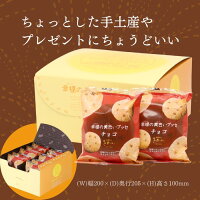 送料無料お菓子のさかいチョコブッセ幸福の黄色いブッセ(チョコ)10個入チョコレート洋菓子お菓子スイーツおうちカフェギフトカジュアルギフトプレゼント手土産