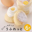 パンケーキ サンド うふれっと ＜ カスタード ＞ 6個入 冷凍パンケーキ 送料無料 お菓子のさかい 解凍 するだけ ひんやりフワフワの パンケーキ ご褒美スイーツやプレゼントに 母の日 父の日 プチギフト お中元 お歳暮 スイーツギフト 1