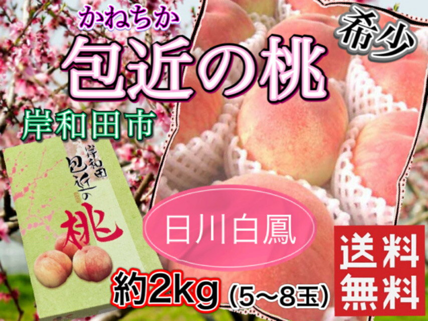̵Ļᤫͤ˱2(5̡ˤ渵ե