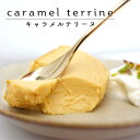 チーズケーキ 定番 キャラメルテリーヌ 1本 (3～4名様用) チーズケーキ 取り寄せ 誕生日 洋菓子 スイーツ お菓子 プレゼント 誕生日ケーキ 贈り物 おみやげ 記念日 記念 御礼 お祝い ハロウィン クリスマス 人気 おすすめ デザート おしゃれ 女子会 冷凍