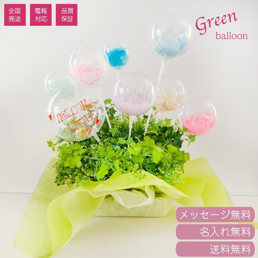 ꡼Х롼ڥץ쥼Ȥ˺Ŭۥå̾Х롼ȥɥ饤եΥ֡Ĺ  ǰ 뺧 ץݡ ե...