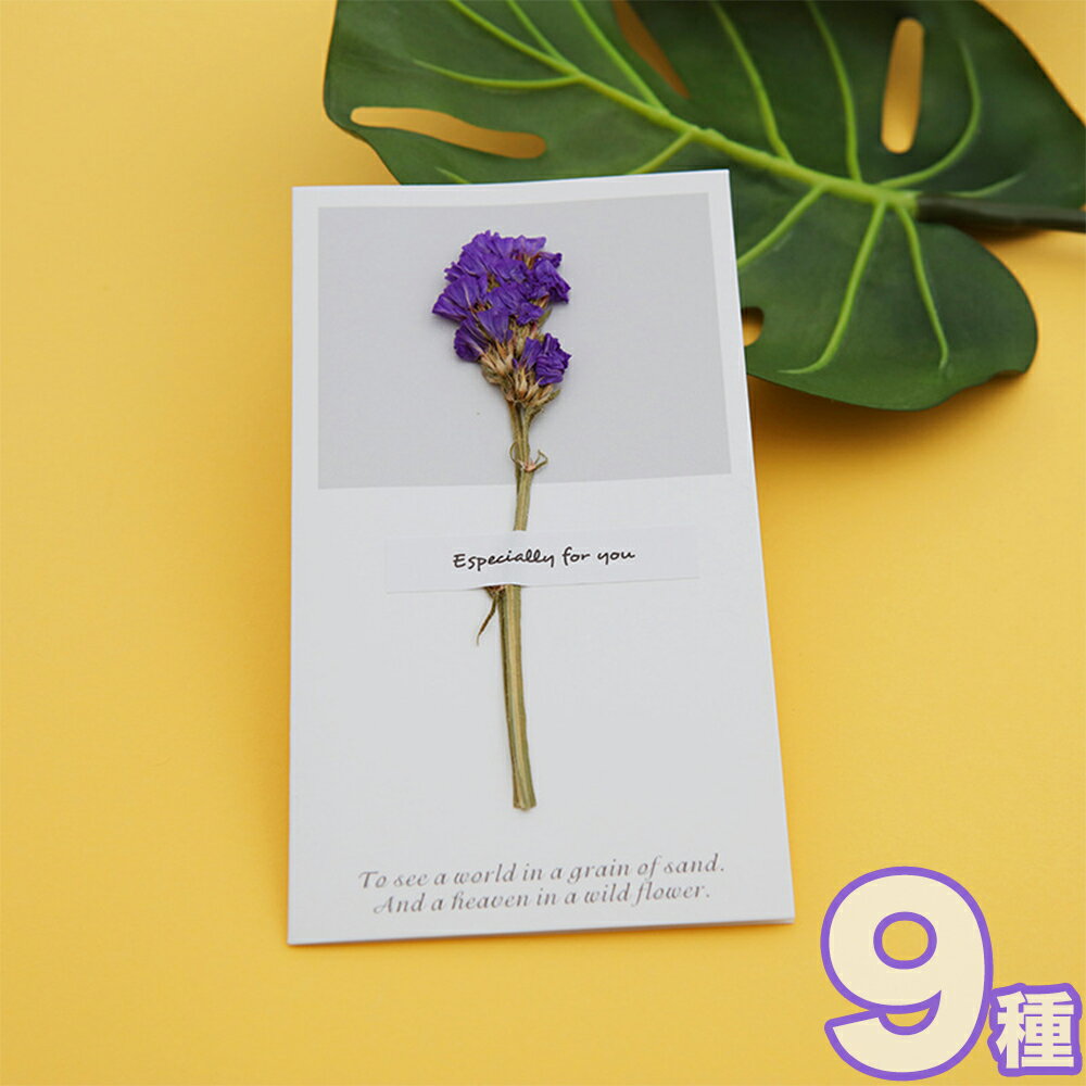 メッセージカード 生花 白 封筒付き 寄せ書き 手紙 グリーティングカード 誕生日 ホワイトデー バレンタイン お祝い 文房具 ウェディング 結婚式 父の日 母...