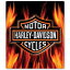 Harley （ハーレー） エンボス ティン サイン H-D Flame Logo Sign 2011291