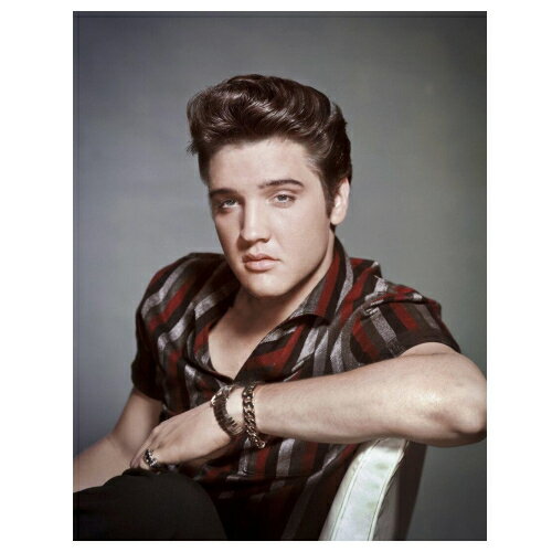 ƥ󥵥  Elvis Portrait MS2433