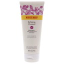 【正規品】【送料無料】 Burts Beesリファイニング フェイシャル クレンザ`男性?女性用180ml