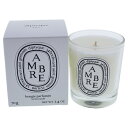 Ambre Scented Candle