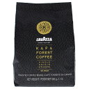 yKizyz Lavazza Kafa Forest Roast Whole Bean Coffee 17.6oz