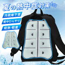 リュック用冷感パッド クールリュック アイスリュック クールパッド 背中アイス アイスパッド ひんやり 冷却グッズ クールパッド 保冷剤 暑さ対策