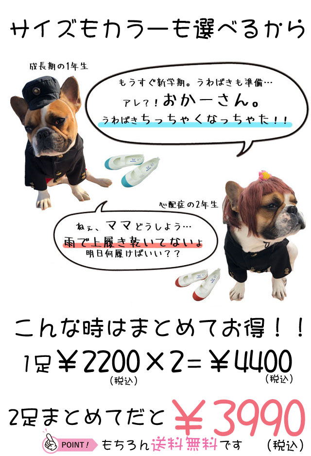 ＼ポイント7倍／ムーンスター 上履き サイズとカラーが選べる 2足セット TEFカラー...