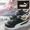 【ポイント5倍】【送料無料】プーマ PUMA 女の子 子供靴 キッズ ベビー スニーカー エボルブラン グリッター AC＋IN ローカット ベルクロ 運動靴 386243 01 プーマブラック-プーマホワイト 黒 02 アーモンドブロッサム-プーマホワイト 【あす楽】evid2