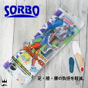\ポイント10倍/ソルボ メンズ レディース 中敷 DSIS ウォーキング インソール スポーツ ウォーキング 抗菌 防臭 衝撃吸収 メール便送料無料 evid |2