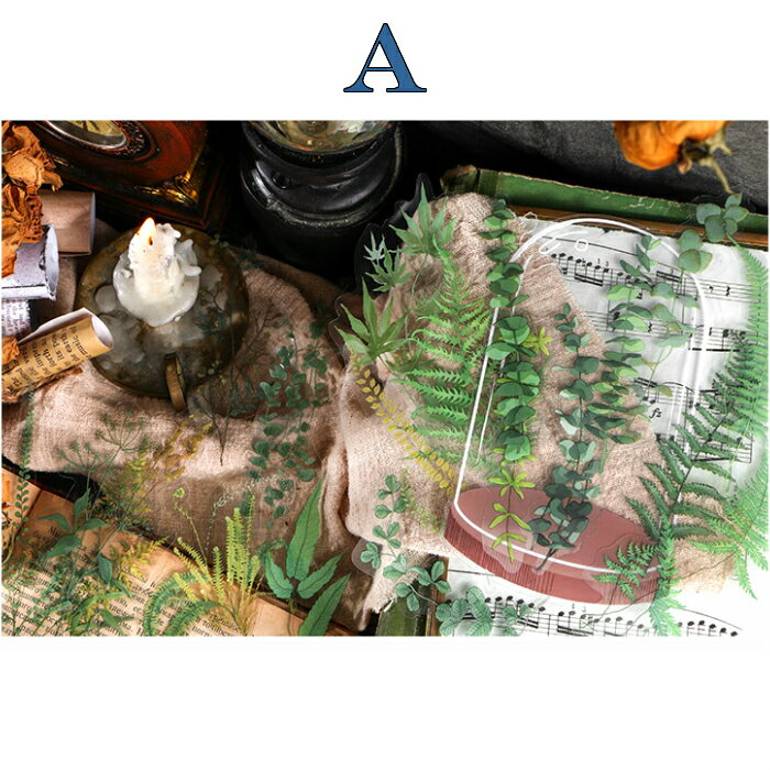 DECOSTICKERS (s78)20���� �ե졼�������� ������ �ӵ� ���� �� ��ʪ �� �ӥ� �ܥȥ� �� ���Υ� ĳ ���礦���� Ʃ�� ���ꥢ PET ���顼���� ����� DIY �ǥ� ������� ������ ������