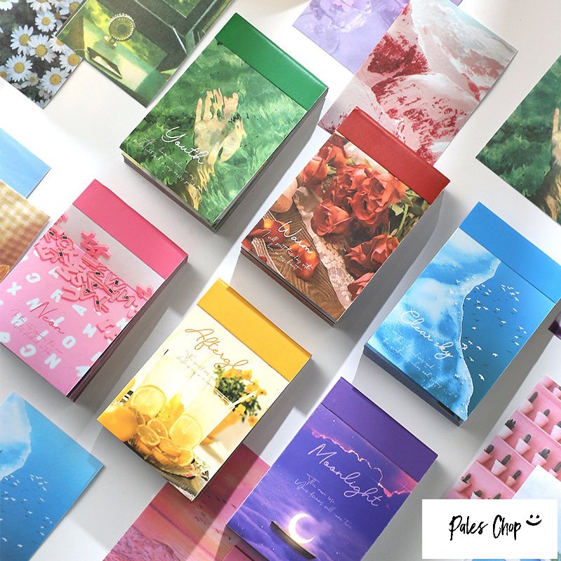 PictureCollectionBook(s142)50 » ޥǺ ֥å ֥å Ǥ ̿  Х 󥹥    ԥ  忧  ե 䤫 ⤤   ǥ 顼   ƥå Ģ Ρ Ǻ Ģǥ ʸ