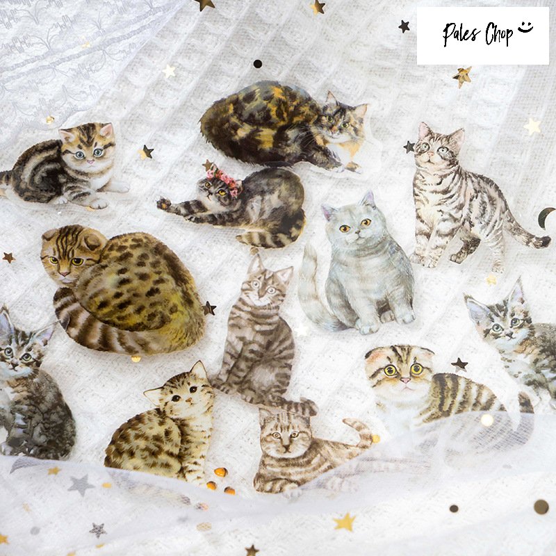 catspeakmeow シール (s272)30枚入 ステッカー 猫 ネコ ねこ フレークシール 透明 クリア PET 子猫 に..