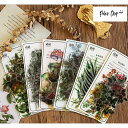 海外製 シール(s4)40枚入 フレークシール NATURALPHOTOBOOKseriesクリア 植物 花 きのこ 果物 大きめ 透明 PET 葉 果実 フル...