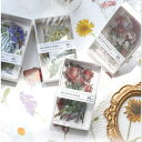 Sellingflowers Boxed フレークシール (s88)40枚入 シール 箱入り ステッカー PET クリア お花 花 バラ チューリップ 紫陽花 ...