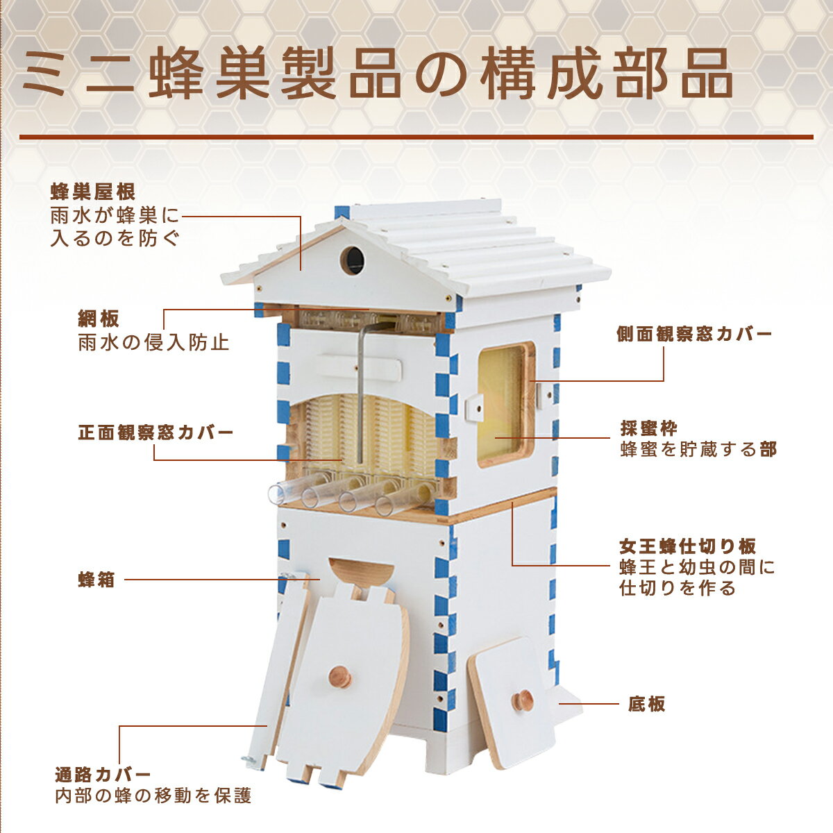 �ڿ�ȯ��� ��ư�����ߥĥХ�Ȣ ���� ˪̪˪����Ȣ ��å�������˪Ȣ �ߥĥХ���Ȣ ����˪Ȣ���å� ˪̪Ȣ ����