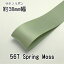 ƥܥ38mm1mñ̷פ567 Spring Moss