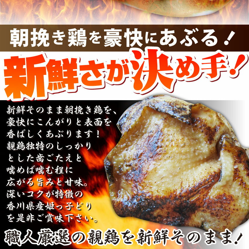 冷凍国産・親鶏たたき！ 3枚セット 朝びき新鮮タタキ 生 鶏 鶏肉 鳥肉 鳥 惣菜 刺身 パーティー 3