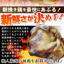 冷凍国産・親鶏たたき！ 10枚セット 朝びき新鮮タタキ 生 鶏 鶏肉 鳥肉 鳥 惣菜 刺身 パーティー 3