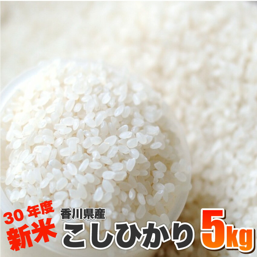 【送料無料】30年度新米！香川県産こしひかり5Kg【 米 新米 30年 こしひかり 香川県産 お米 5kg 香川 】