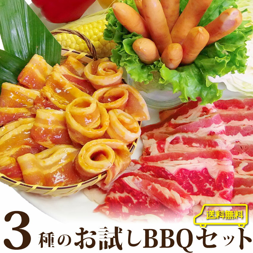 【5/20(月)24h限定★エントリーで最大P20倍】送料無料お試しバーベキュー！カルビセット BBQセット ホルモン 買えば買うほどオマケ付！ アウトドア お家焼肉 レジャー BBQ 焼肉セット 焼肉 ランキング1位