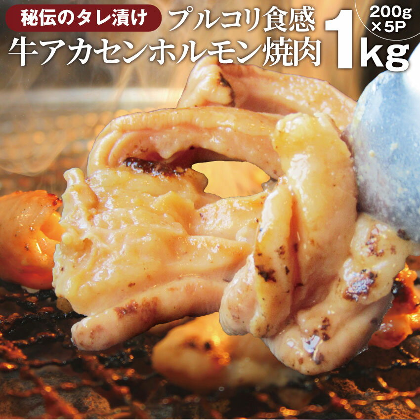 肉セット 送料無料冷凍牛タレ漬けアカセン(ギアラ) 1kg(200g×5袋) 焼肉用 アウトドア お家焼肉 レジャー 焼肉セット 焼肉 ランキング1位 バーベキュー 肉 食材 セット