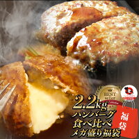 【5/1(水)24h限定★エントリーで最大P20倍】ハンバーグ 福袋 2種食べ比べ セット 2....