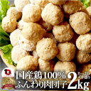 お徳用メガ盛り 国産 鶏肉だんご つくね 2kg(1kg×2個セット) 鶏 肉団子 にくだんご ミートボール 惣菜 冷凍 つくね