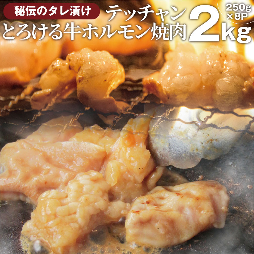 送料無料 冷凍 牛テッチャン タレ漬け ホルモン （ シマチョウ ） 2kg (250g×8袋) 焼肉用 お得 タレ 秘伝 焼肉 やきにく アウトドア お家焼肉 レジャー バーベキュー 肉 食材 セット バーベキューセット BBQ BBQセット